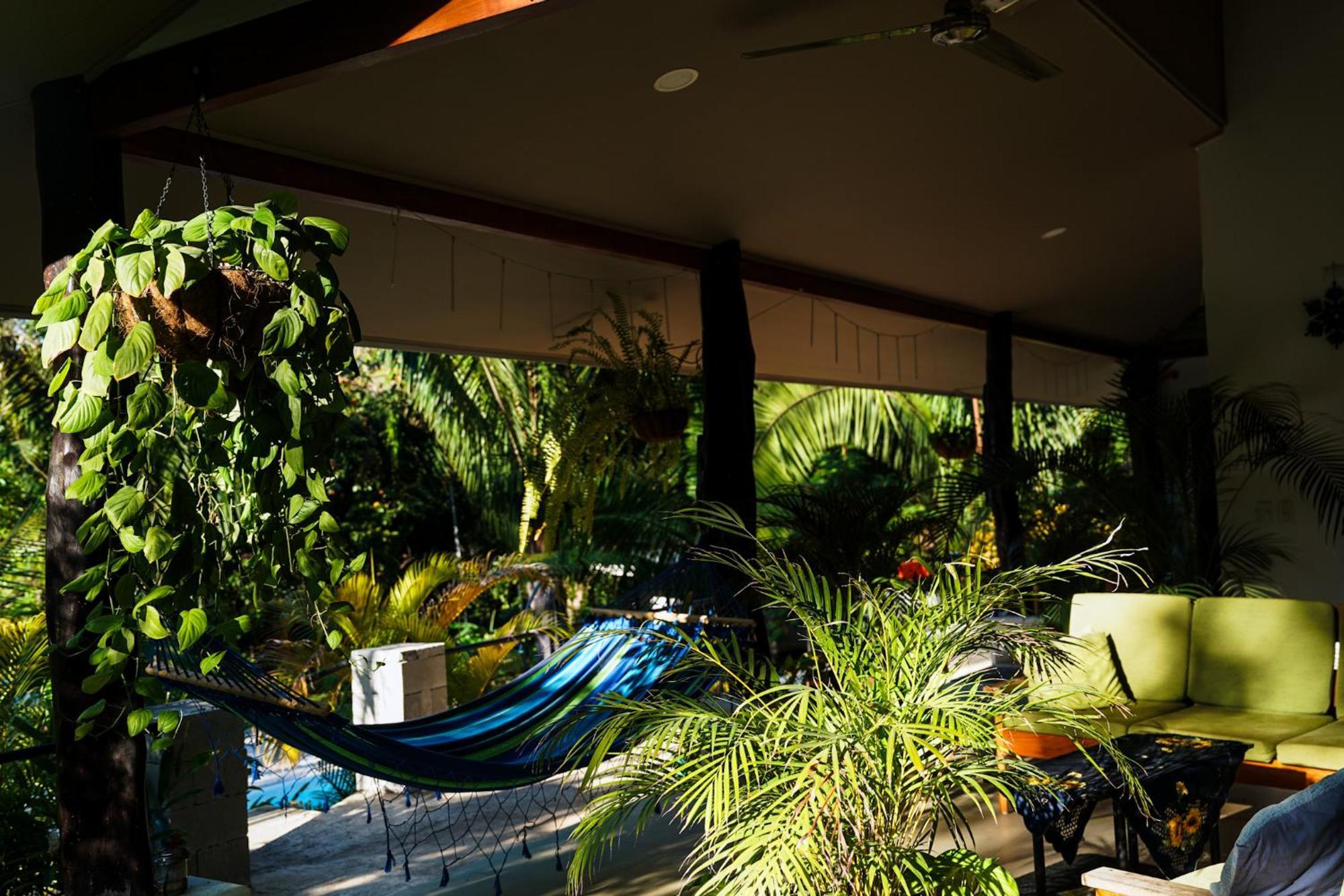 House In The Palm Forest Puerto Carrillo Exterior foto