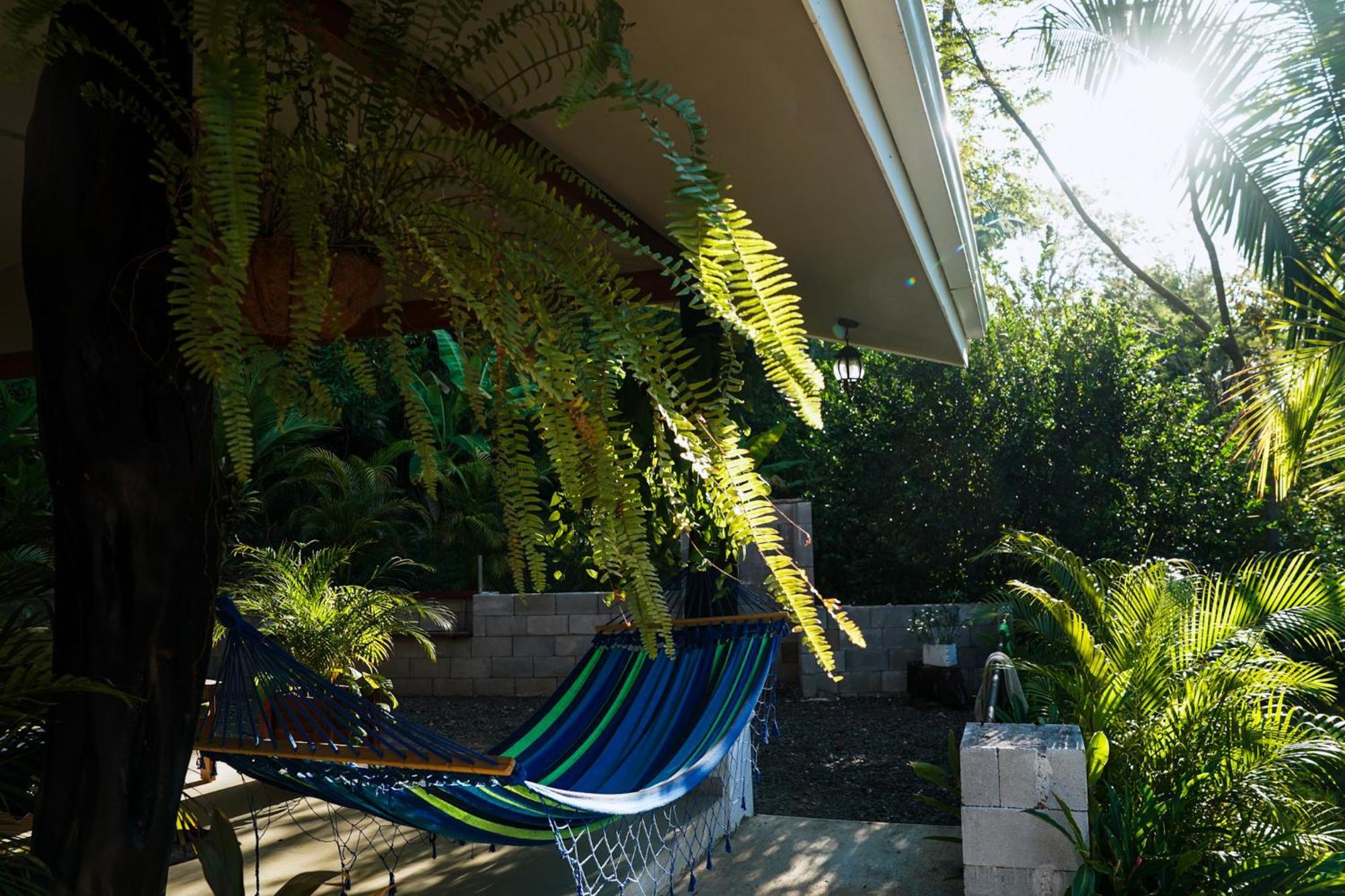 House In The Palm Forest Puerto Carrillo Exterior foto