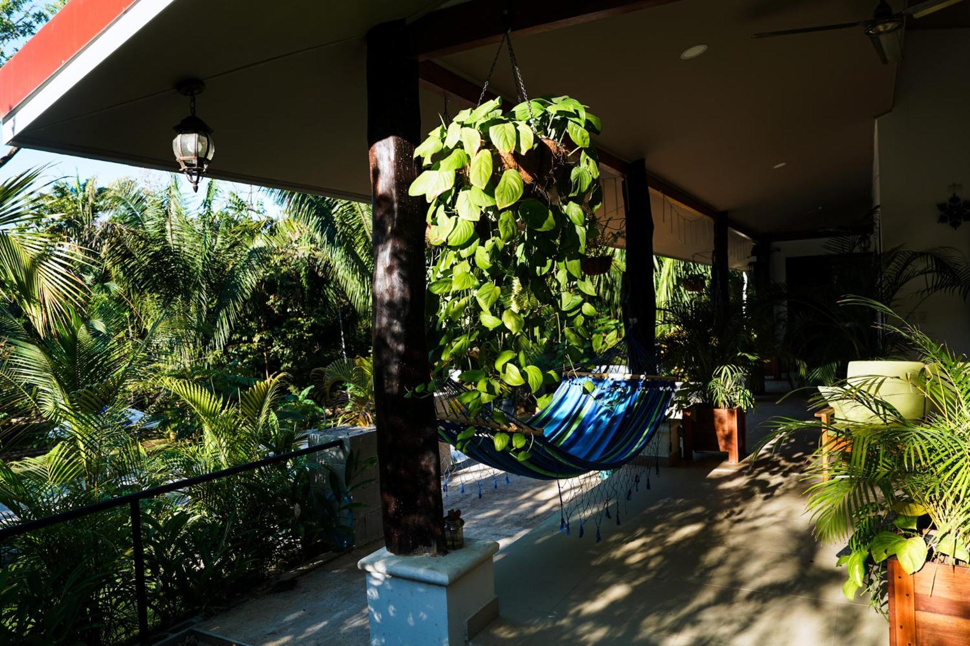 House In The Palm Forest Puerto Carrillo Exterior foto