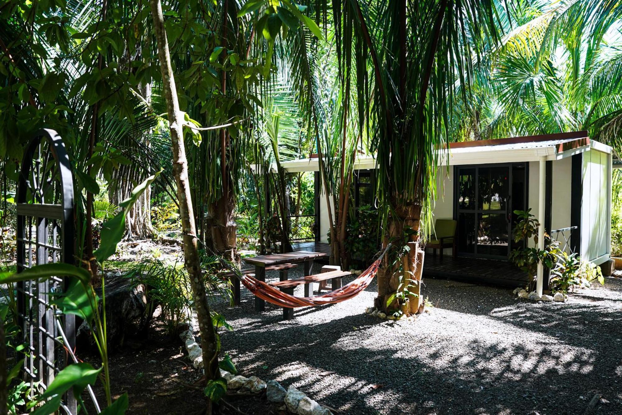 House In The Palm Forest Puerto Carrillo Exterior foto