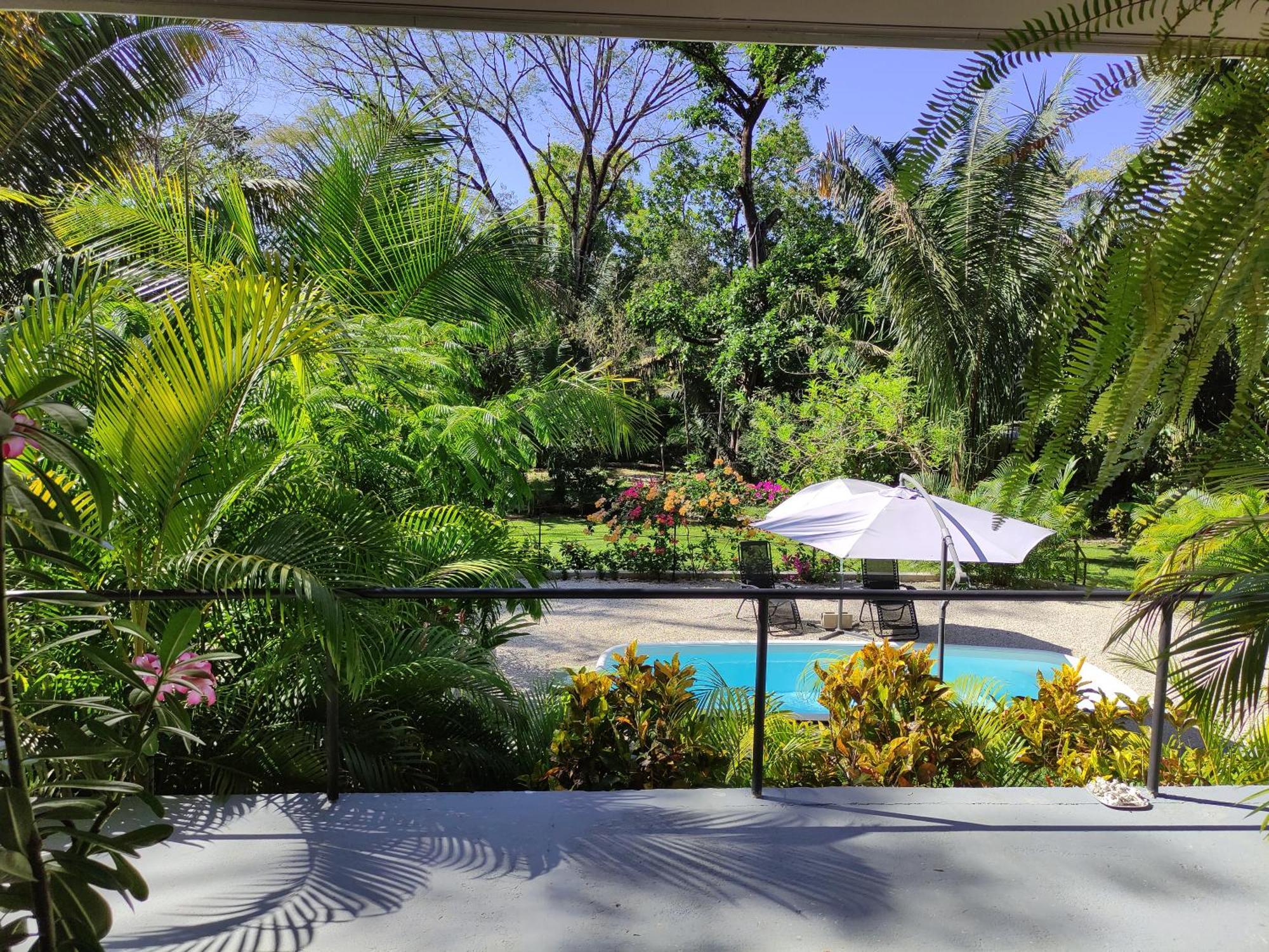 House In The Palm Forest Puerto Carrillo Exterior foto